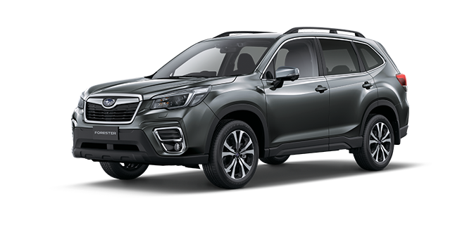 Magnetite Grey Metallic