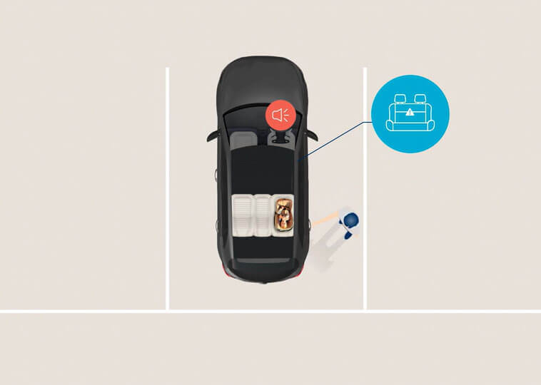 Rear Occupant Alert (ROA) Image