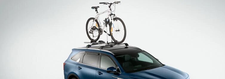 Roof Bicycle Carrier - Frame Mount