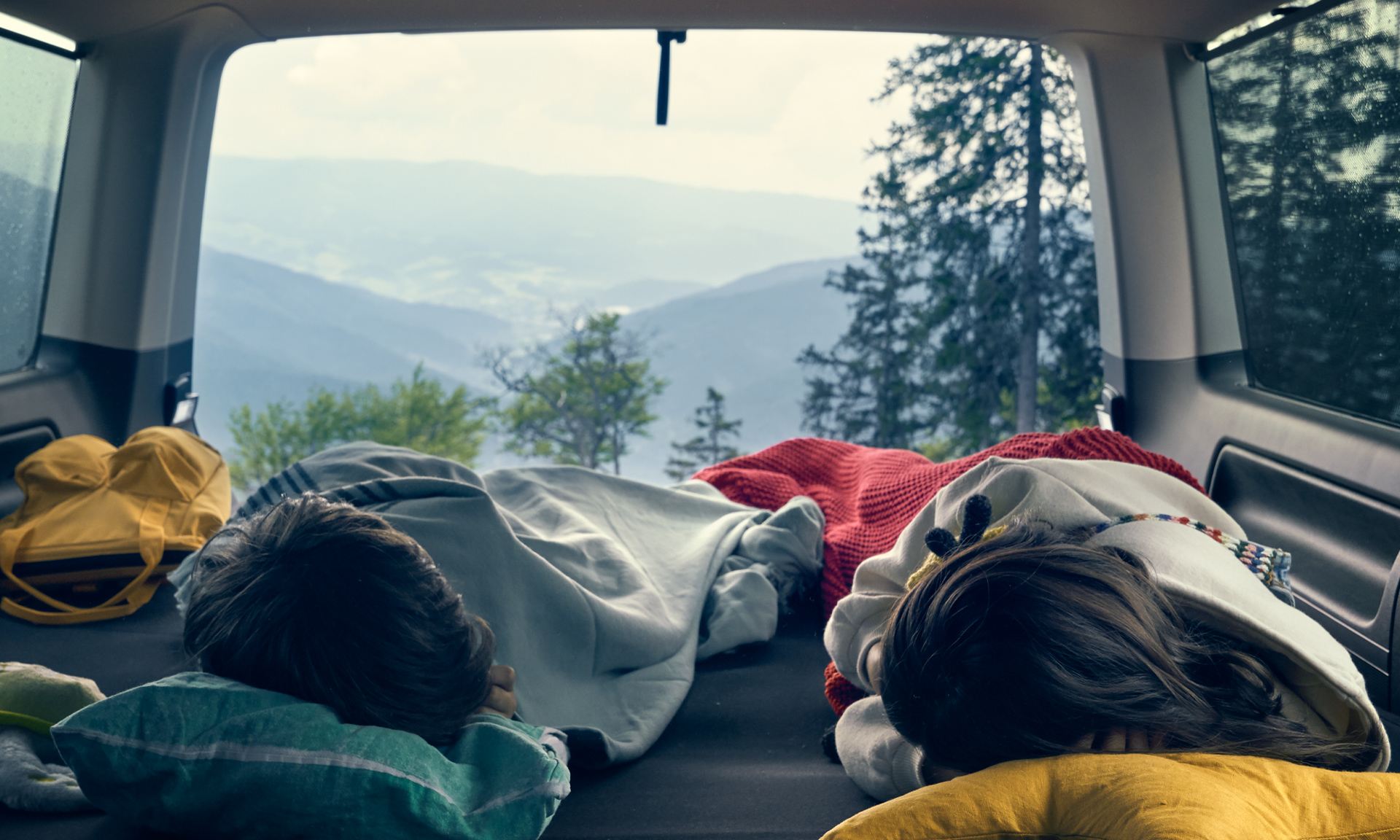 Multivan Gallery Image 1