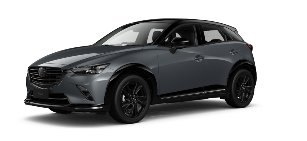 Polymetal Gray w Black Roof