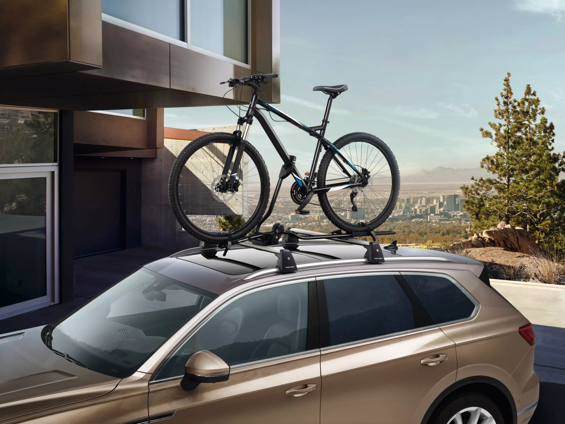 Bicycle Carrier