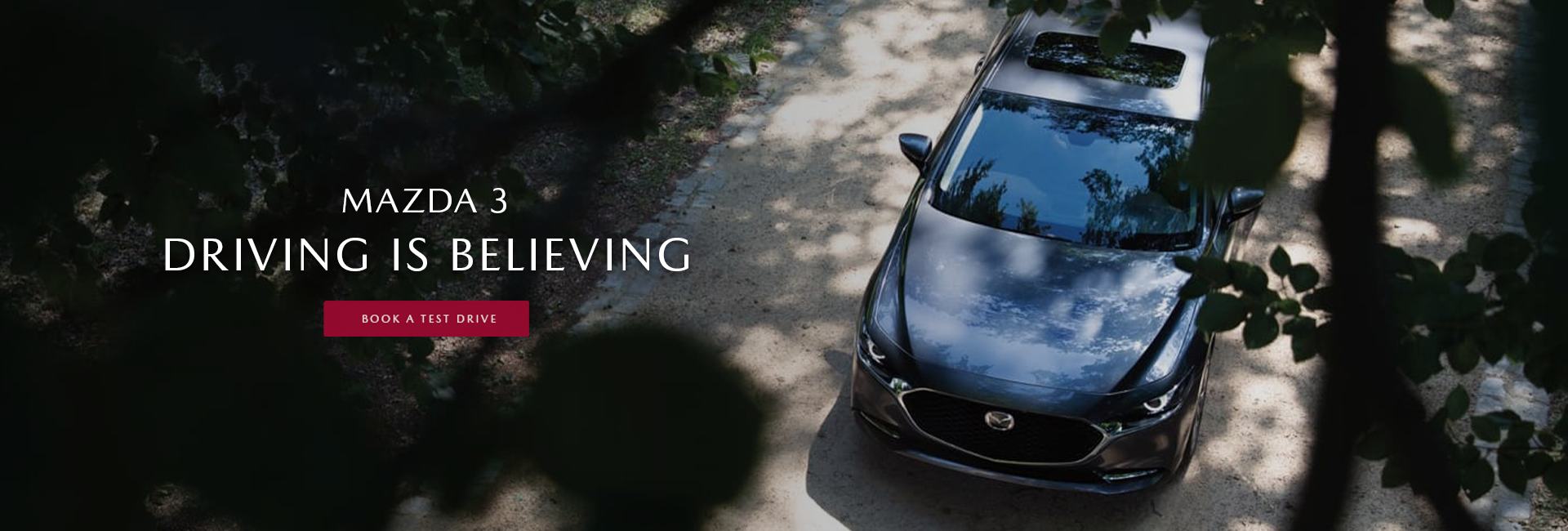 Driving Is Believing.