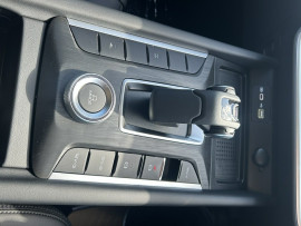 2025 GWM Cannon NPW Lux Ute image 21