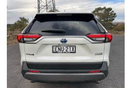 2021 Toyota RAV4 MXAA52R Cruiser SUV