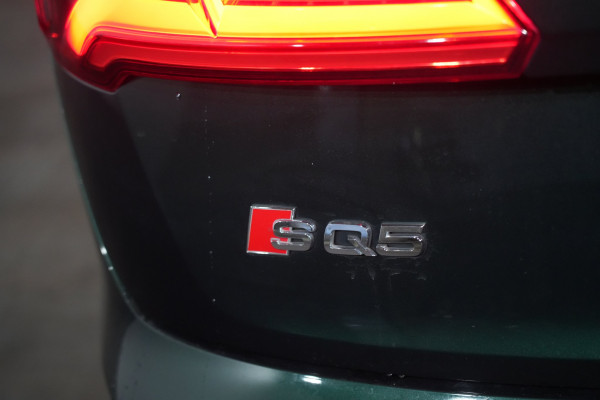 2018 Audi SQ5 FY  SUV Image 9