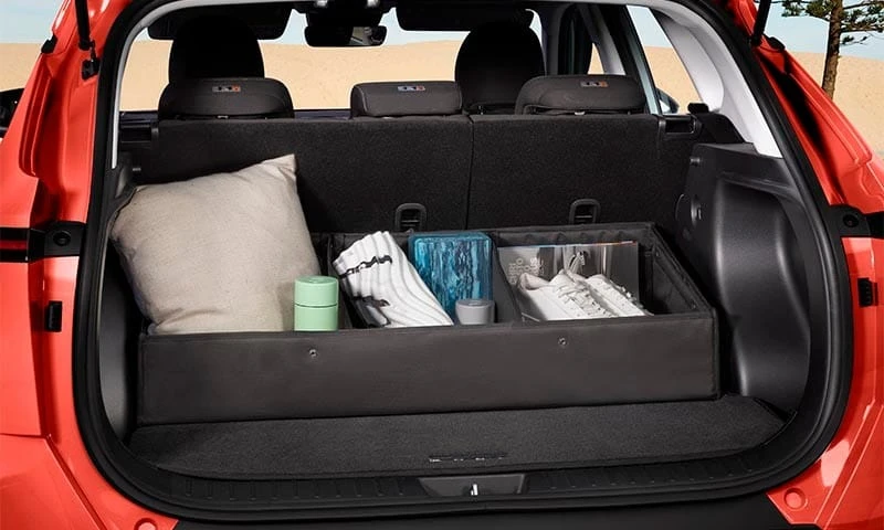Luxury cargo organiser