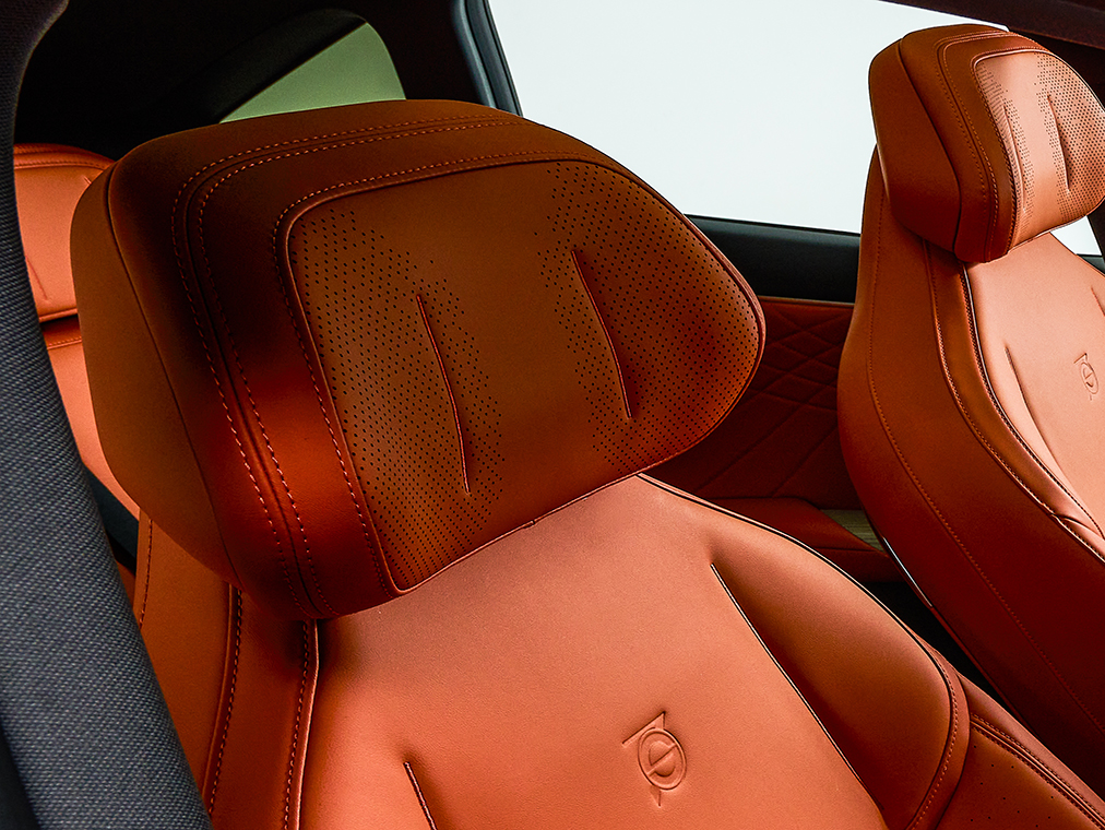 HEADREST AUDIO FOR DRIVER'S SEAT Image