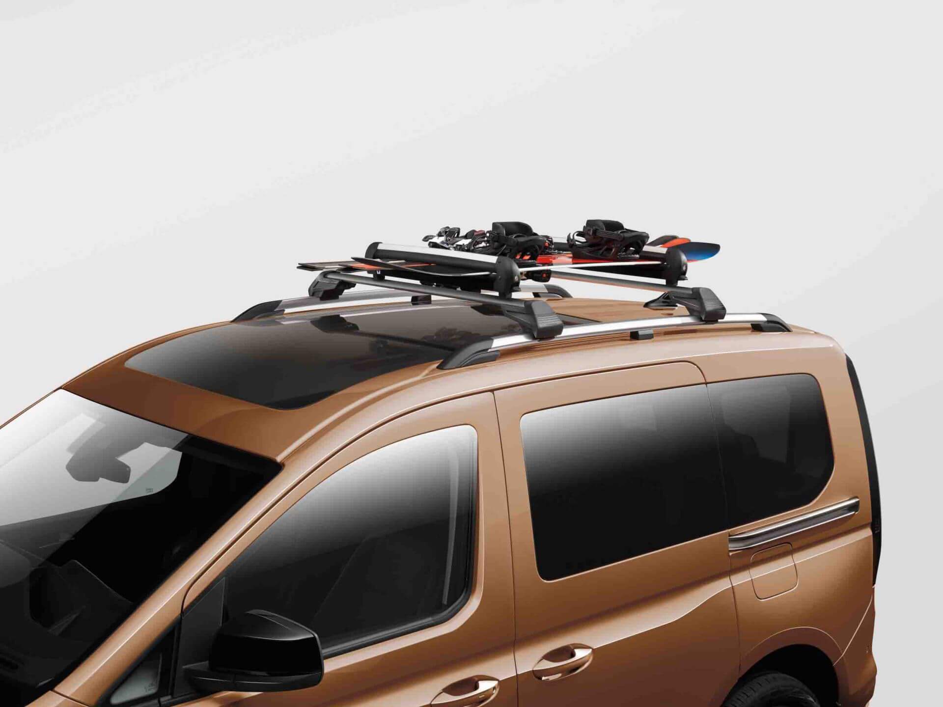 Ski and snowboard carrier