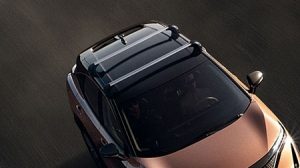 ROOF BARS