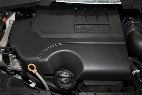 2021 Land Rover Range Rover Evoque L551 R-Dynamic S SUV Image 24