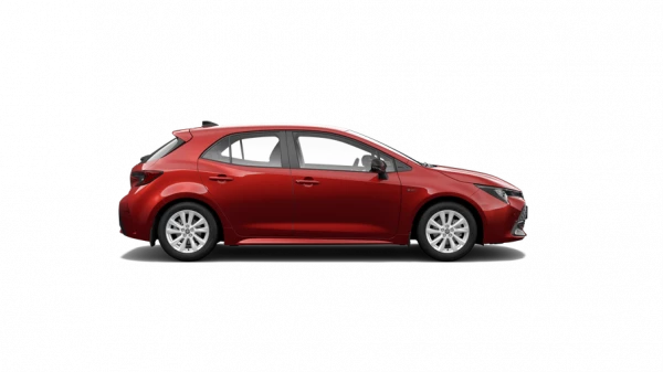Ascent Sport