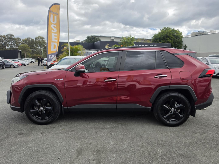 2019 Toyota RAV4 AXAH52R Cruiser SUV Image 12