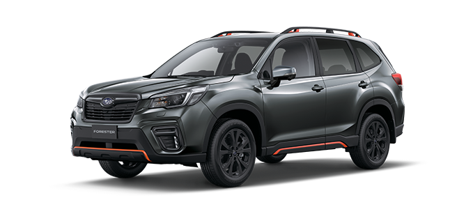 Magnetite Grey Metallic