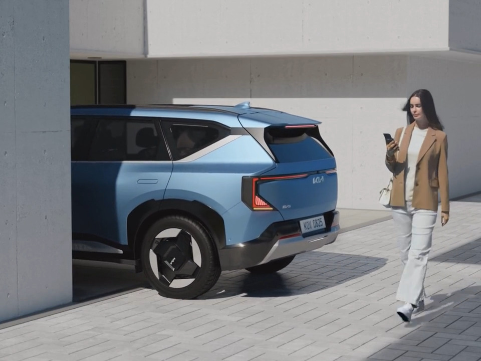 Parking Collision Avoidance Assist*