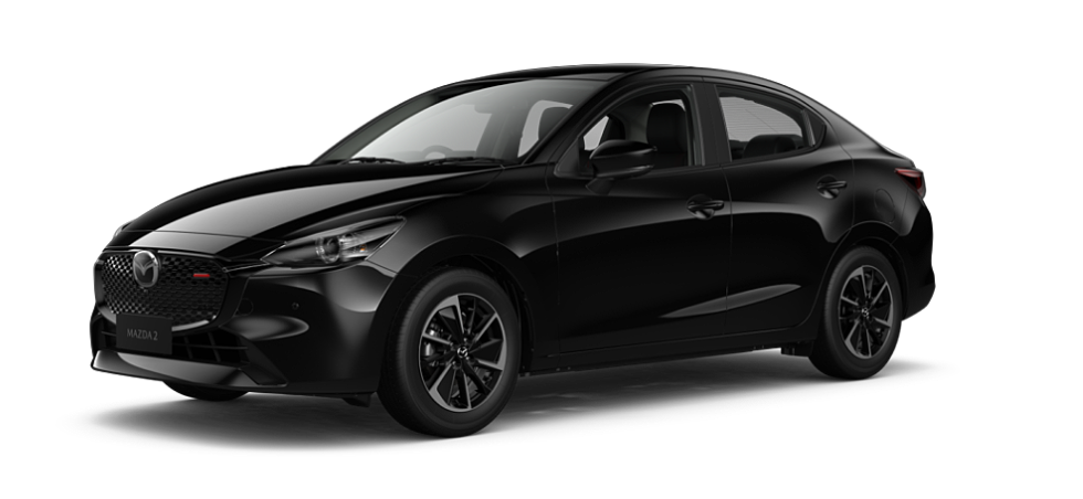 Jet Black Mica