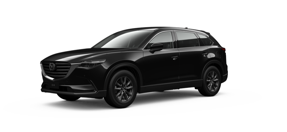 Jet Black Mica