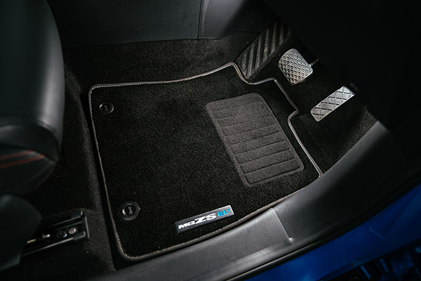 Floor Mats (Carpet)