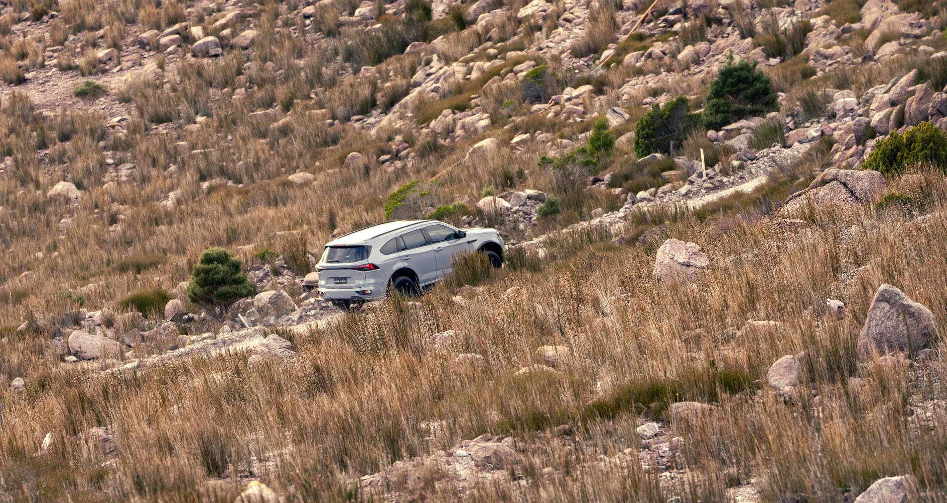 Hill Start Assist & Descent Control Image