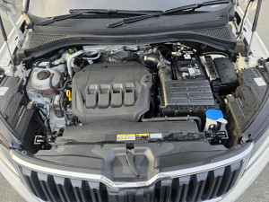 2020 MY21 Skoda Kodiaq NS 132TSI SUV