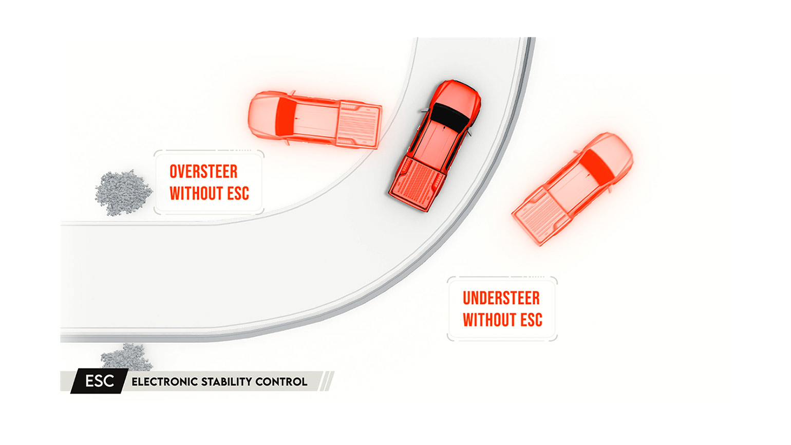 Electronic Stability Control Image