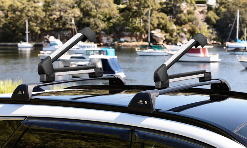 Ski &amp; snowboard carrier