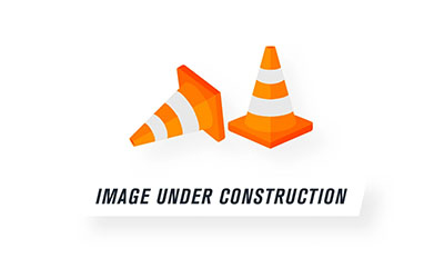 <img src=