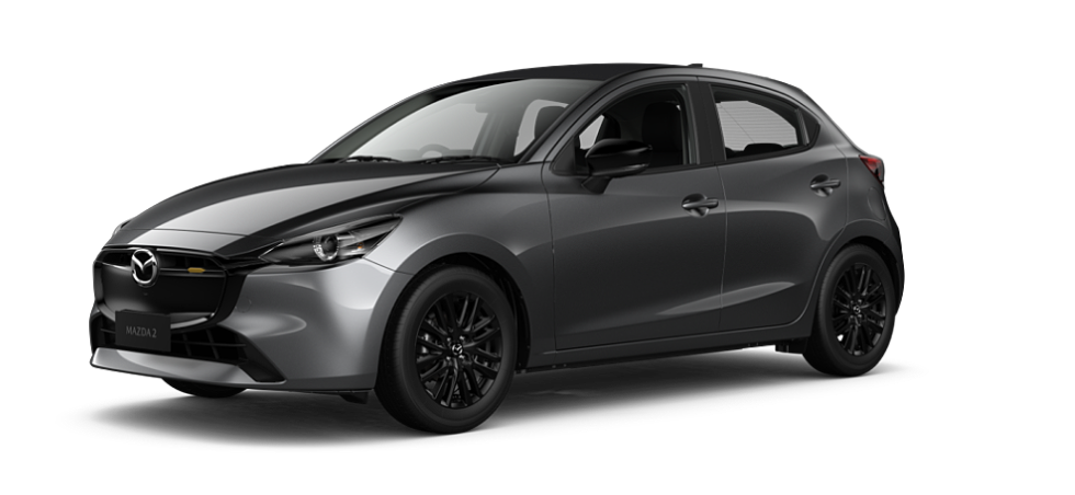 Machine Grey Metallic