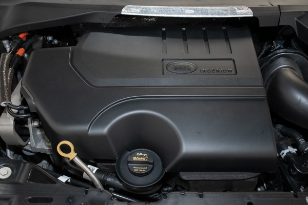 2022 Land Rover Range Rover Evoque L551 R-Dynamic SE SUV