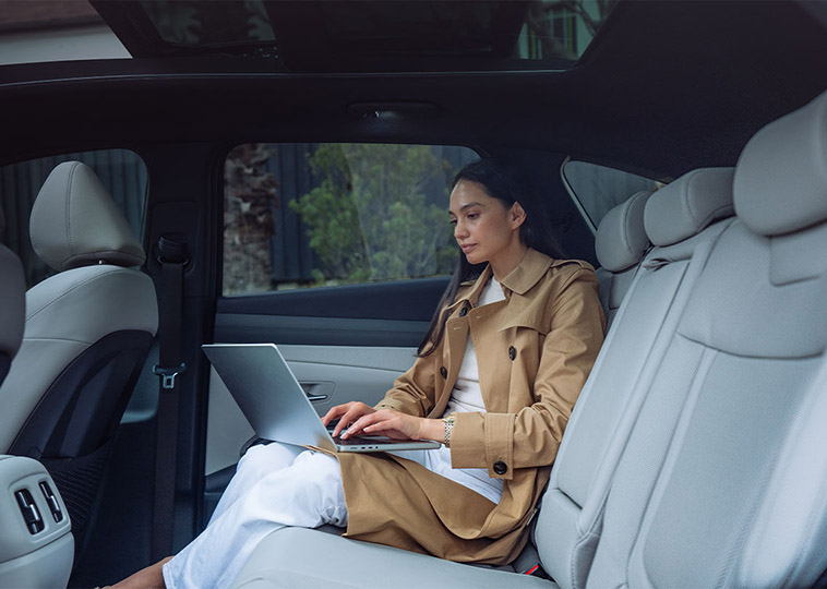 Temperature-controlled seats Image