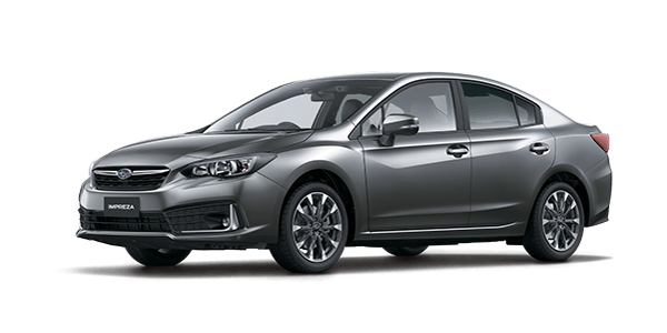 Magnetite Grey Metallic