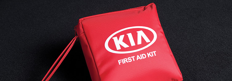 <img src="First Aid Kit
