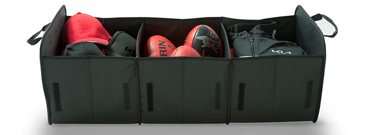 Cargo Organiser 