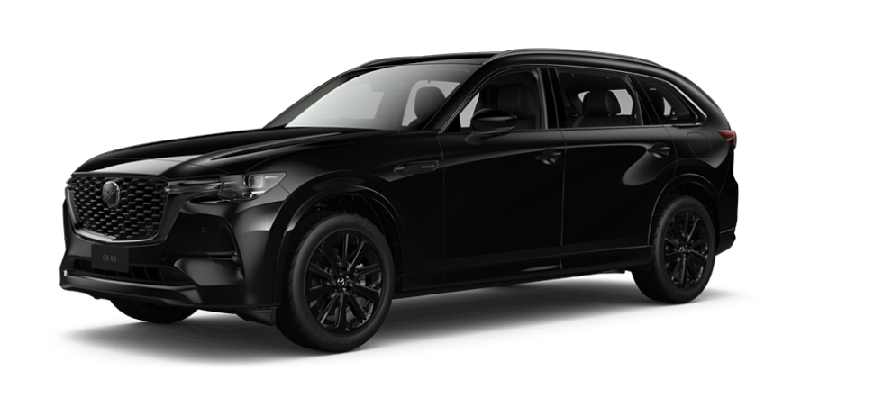 Jet Black Mica
