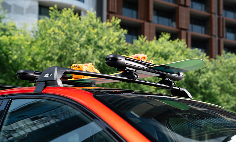 Ski & snowboard carrier