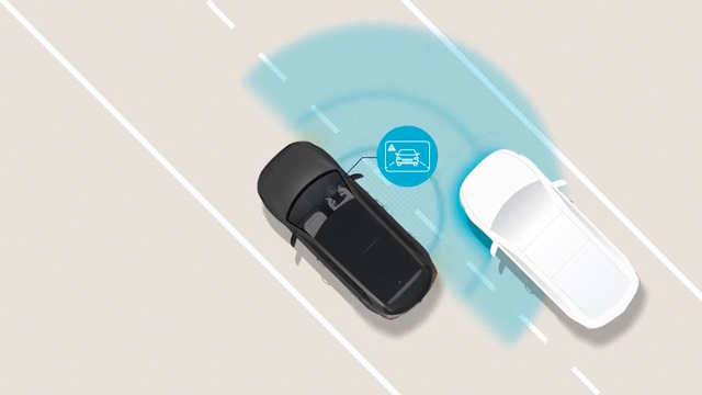 Blind-Spot View Monitor (BVM) Image