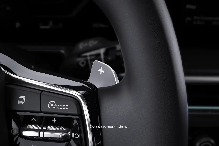 Paddle shifters