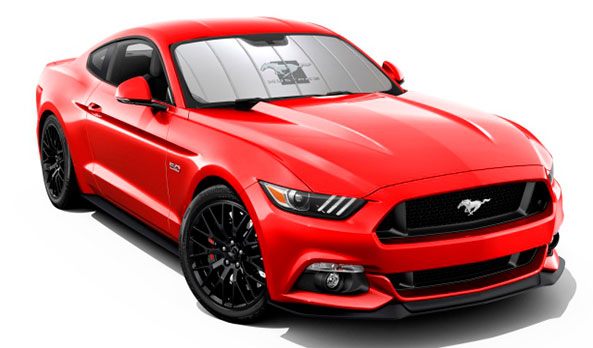 <img src="SUNSHADE - FLA