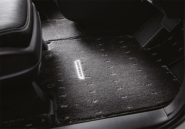 <img src="DELUXE TAILORED MATS