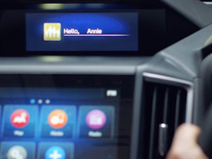 Driver Monitoring System (DMS) Image