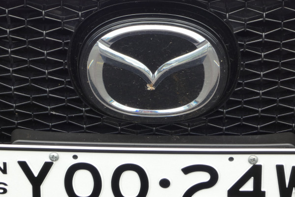 2022 Mazda 3 300P G25 EVOLVE SP Hatch Image 4