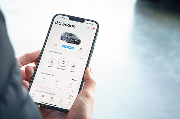 Bluelink connected car services.