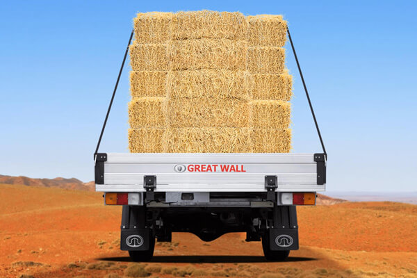 Steed Single Cab Diesel Also available in 4X4