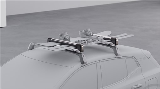 Retractable ski holder