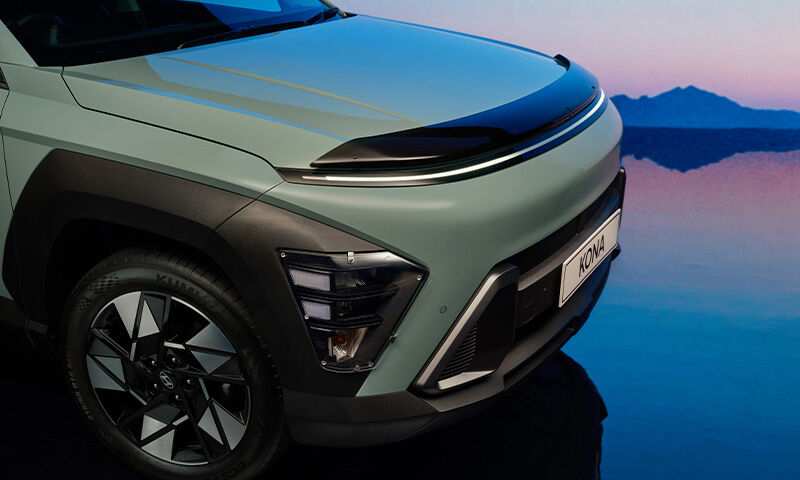 Bonnet protector - tinted