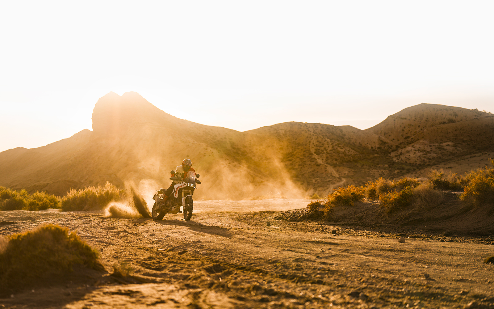 890 cc V2 twin: balance and precision. Image