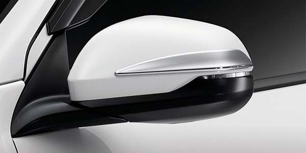 <img src="Door Mirror Garnish Set