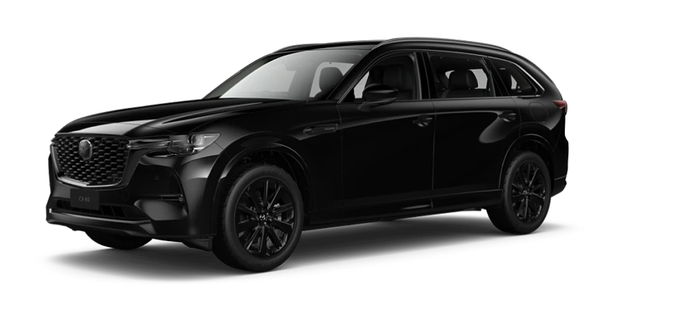 Jet Black Mica
