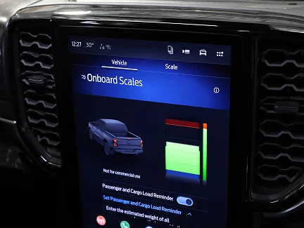 Onboard Scales Image