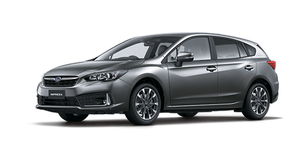 Magnetite Grey Metallic